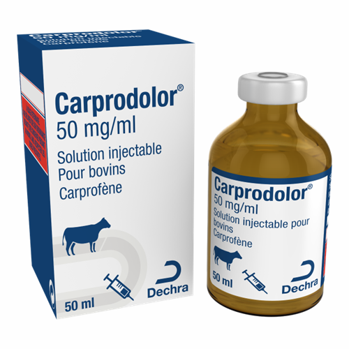 Carprodolor RCP