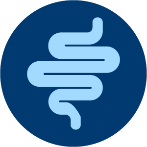 Ingrédients favorisant la santé intestinale pour soutenir l’axe intestin-rein -