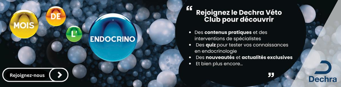Le retour du mois de l'endocrinologie sur Dechra Veto Club