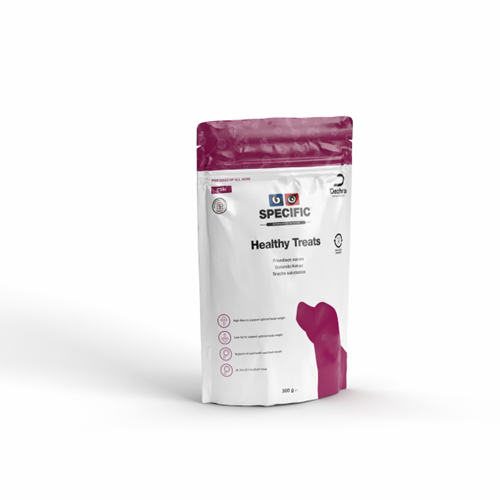 Healthy treats pour chien -